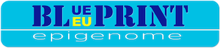 blueprint-logo-320-[fixed].png